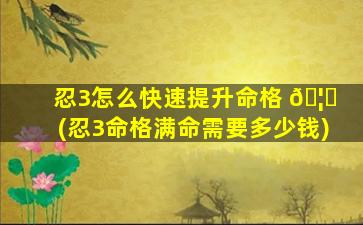 忍3怎么快速提升命格 🦊 (忍3命格满命需要多少钱)